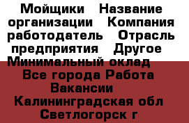 Мойщики › Название организации ­ Компания-работодатель › Отрасль предприятия ­ Другое › Минимальный оклад ­ 1 - Все города Работа » Вакансии   . Калининградская обл.,Светлогорск г.